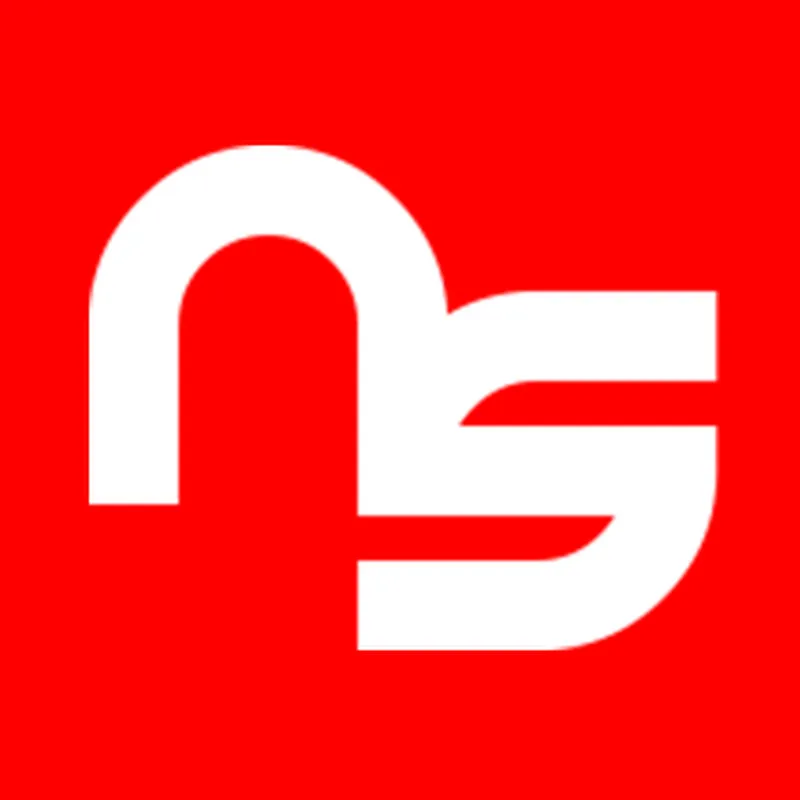 NationSquid logo